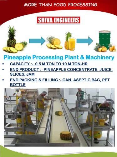 pineapple processing machinery